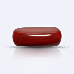 Ox blood Red Coral